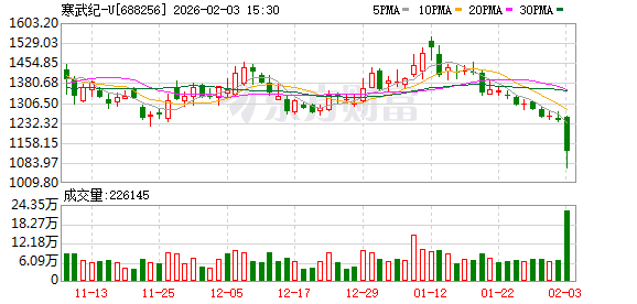 寒武纪否认市场传闻但股价难止跌 投资人士：AI芯片龙头稀缺性或在消退